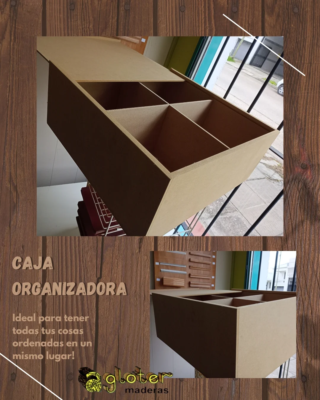Caja Organizadora